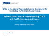 Presentation by Andrea Salvoni, Deputy Co-ordinator, Office of the OSCE Special Representative and Co-ordinator for Combating Trafficking in Human Beings